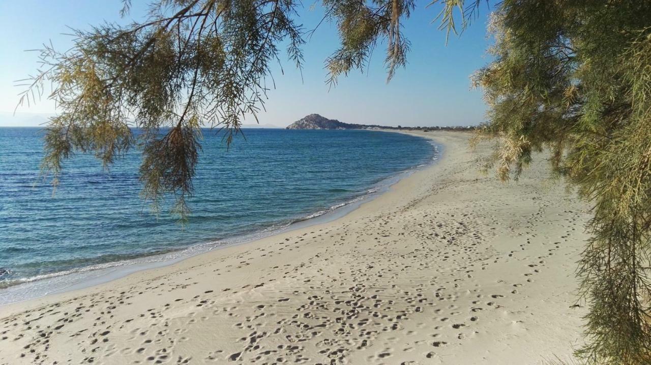 Naxos Is The Way Apartment Kastraki  Luaran gambar